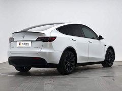 Tesla Model Y long-range all-wheel drive version 3D7 - фото 3