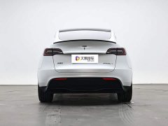 Tesla Model Y long-range all-wheel drive version 3D7 - фото 4
