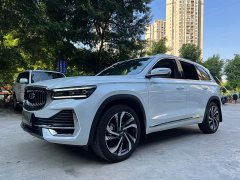 Geely Xingyue L 2.0TD High-Power Automatic 2WD Skyline Edition - фото 1