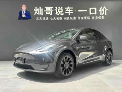Tesla Model Y rear-wheel drive version - фото 1