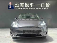 Tesla Model Y rear-wheel drive version - фото 5