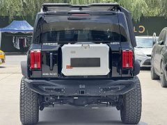Tank 300 Off-Road Version 2.0T Conqueror - фото 5