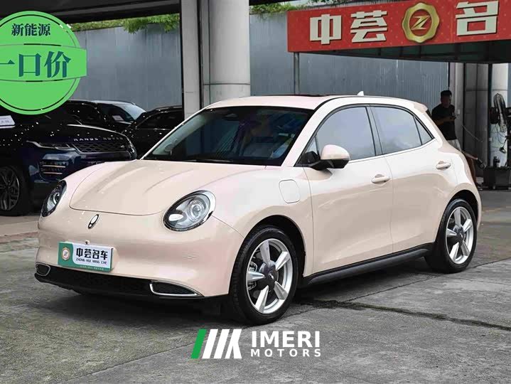 Lynk & Co Euler Good Cat 400km standard battery life premium type lithium iron phosphate - автомобиль из Китая