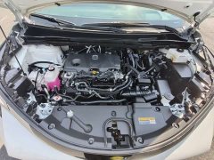 Toyota SIENNA 2.5L Hybrid Platinum Edition - фото 12