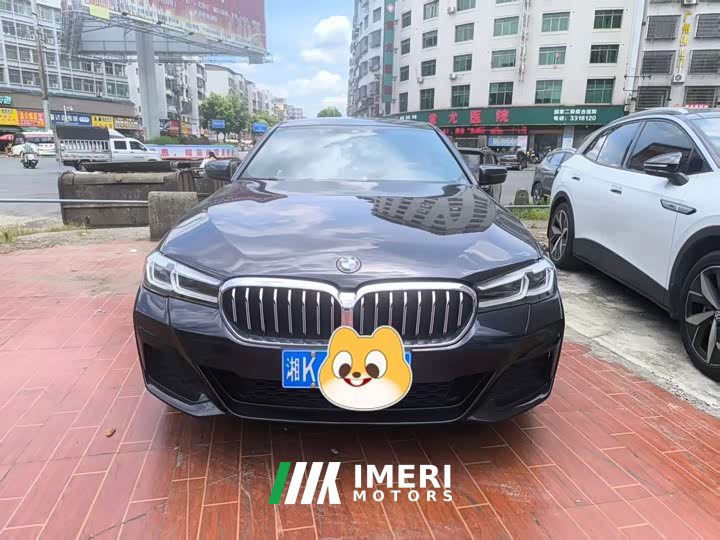 BMW 5 Series 530Li Leading M Sports Package - автомобиль из Китая