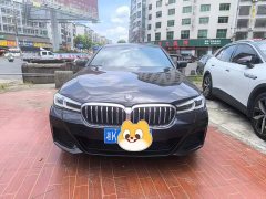 BMW 5 Series 530Li Leading M Sports Package - фото 1