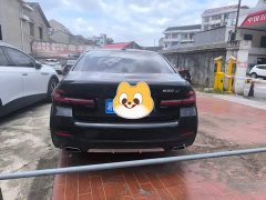 BMW 5 Series 530Li Leading M Sports Package - фото 3