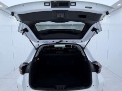 Lexus Xingtu Chasing the Wind 2022 Riding the Wind and Waves Edition 1.5T CVT Good Things Peanut Edition - фото 14