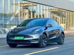 Tesla Model Y 2022 rear-wheel drive version - фото 1