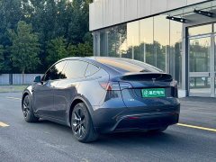 Tesla Model Y 2022 rear-wheel drive version - фото 6
