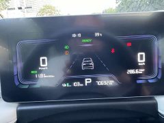 Geely Geometry E Firefly 401KM Linglong Tiger 4 seats - фото 18