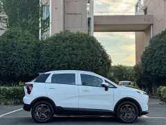 Geely Geometry E Firefly 401KM Linglong Tiger 4 seats - фото 5