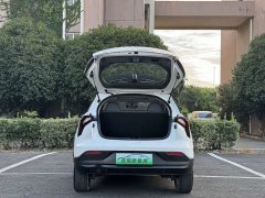 Geely Geometry E Firefly 401KM Linglong Tiger 4 seats - фото 7