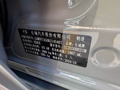 Tank 300 2024 2.0T Challenger - фото 10