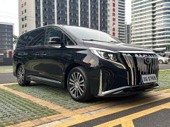Trumpchi M8 2021 Master Series 390T Extreme Edition - фото 3