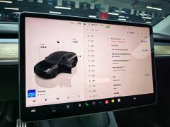 Tesla Model Y 2022 Performance high-performance all-wheel drive version - фото 8