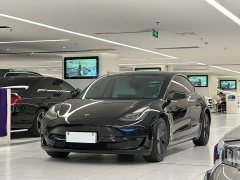 Tesla Model 3 facelift standard range rear drive upgraded version 3D1 - фото 1