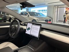 Tesla Model 3 facelift standard range rear drive upgraded version 3D1 - фото 12