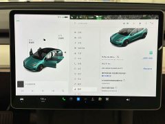 Tesla Model 3 facelift standard range rear drive upgraded version 3D1 - фото 17
