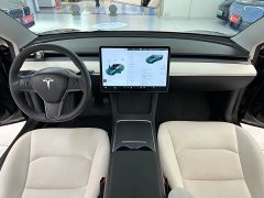 Tesla Model 3 facelift standard range rear drive upgraded version 3D1 - фото 19