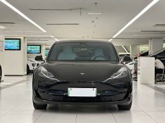 Tesla Model 3 facelift standard range rear drive upgraded version 3D1 - фото 2