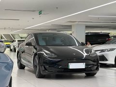 Tesla Model 3 facelift standard range rear drive upgraded version 3D1 - фото 3