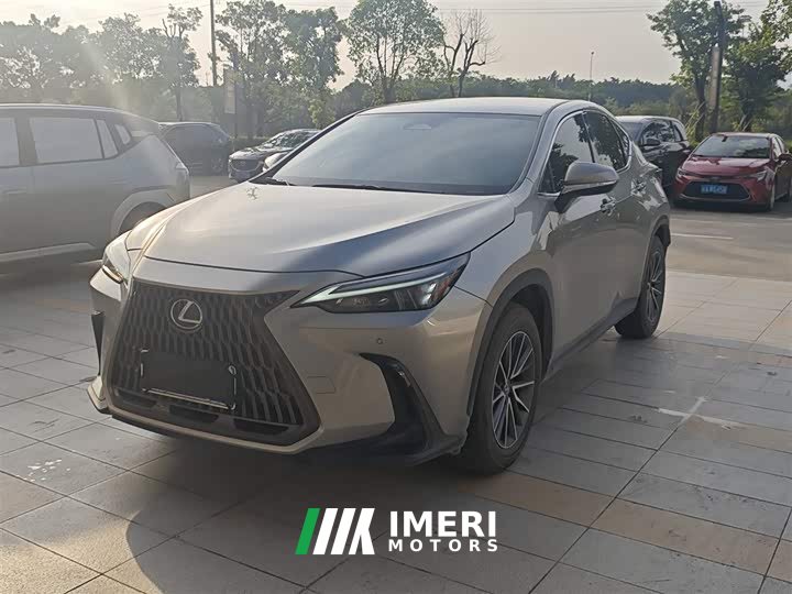 Lexus NX 260 front-wheel drive Chuangchi version - автомобиль из Китая
