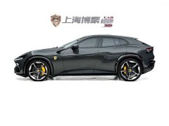 Lynk & Co Purosangue 2023 6.5L V12 - фото 10