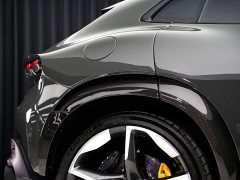 Lynk & Co Purosangue 2023 6.5L V12 - фото 11