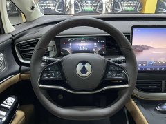 Denza D9 DM-i 980 four-wheel drive flagship - фото 10