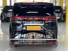 Denza D9 DM-i 980 four-wheel drive flagship - фото 16