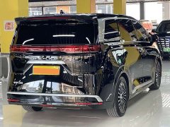 Denza D9 DM-i 980 four-wheel drive flagship - фото 17