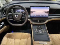 Denza D9 DM-i 980 four-wheel drive flagship - фото 9