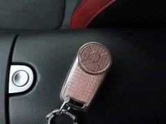 Lexus Euler Good Cat GT Mulan Edition 401km Luxury - фото 17