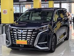 Denza D9 DM-i 980 four-wheel drive premium - фото 1