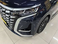 Denza D9 DM-i 980 four-wheel drive premium - фото 13