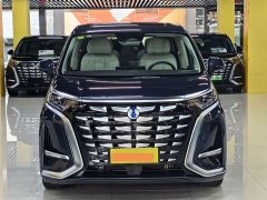 Denza D9 DM-i 980 four-wheel drive premium - фото 2
