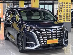Denza D9 DM-i 980 four-wheel drive premium - фото 3