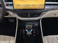 Denza D9 DM-i 980 four-wheel drive premium - фото 7