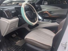 BYD Song Pro New Energy 2022 DM-i 110km flagship Pro - фото 9