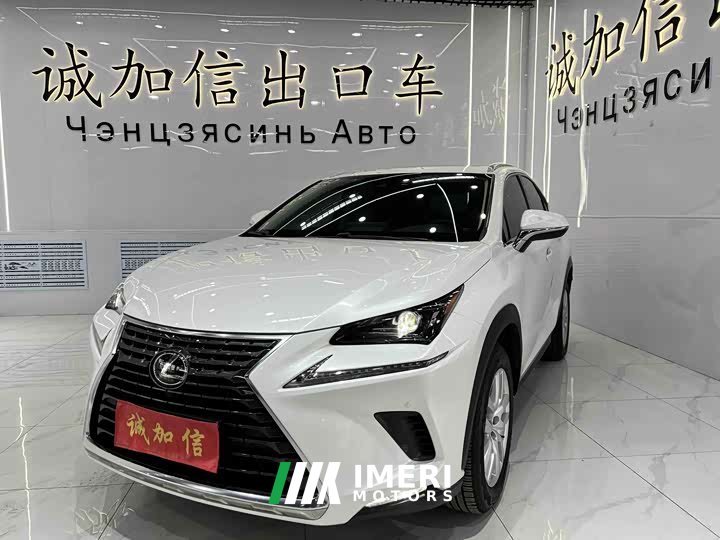 Lexus NX 2020 200 AWD Fengshang Edition National VI