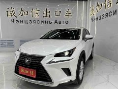 Lexus NX 2020 200 AWD Fengshang Edition National VI - фото 1