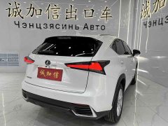 Lexus NX 2020 200 AWD Fengshang Edition National VI - фото 4