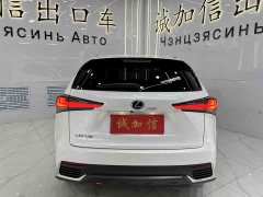 Lexus NX 2020 200 AWD Fengshang Edition National VI - фото 5