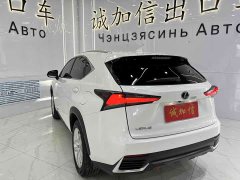 Lexus NX 2020 200 AWD Fengshang Edition National VI - фото 6