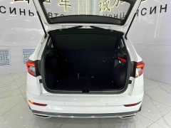Lexus Korok TSI280 Luxury Edition - фото 17
