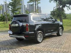 Tank 500 3.0T sports version, environment type, 5 seats - фото 10
