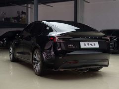 Tesla Model 3 rear-wheel drive version - фото 6