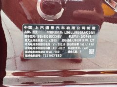 Buick GL8 New Energy Lu Zun Exclusive Edition 7 seats - фото 17