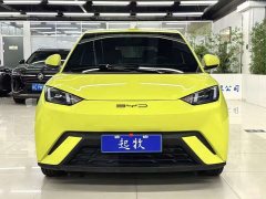 BYD Seagull Free Edition - фото 2